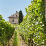 5. La grande fortuna del Monastero