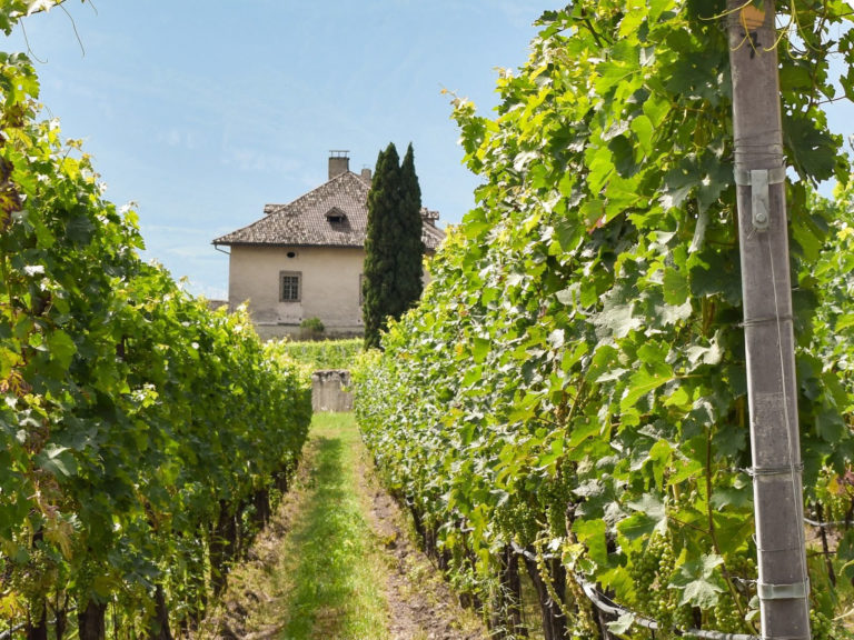 5. La grande fortuna del Monastero